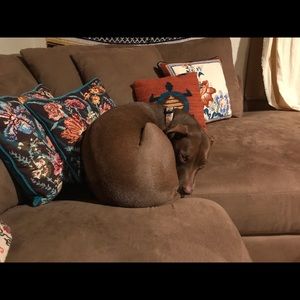 Meet your Posher, Ethel